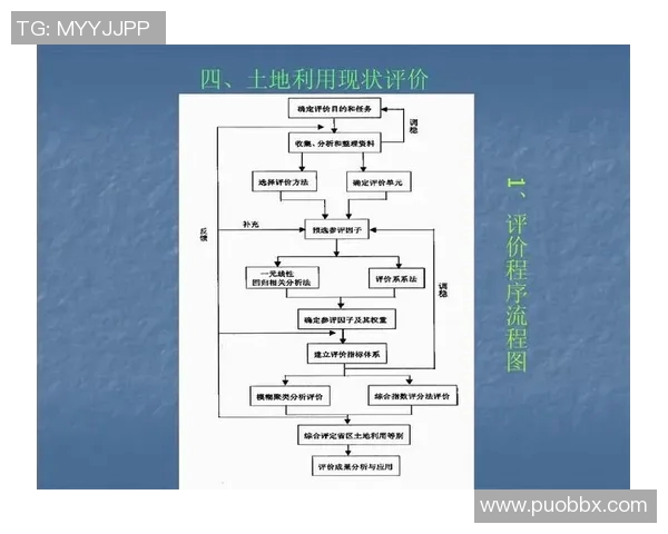 北京排球队在锦标赛中的技术表现分析与点评探讨 北京排球队在锦标赛中的技术表现分析与点评探讨