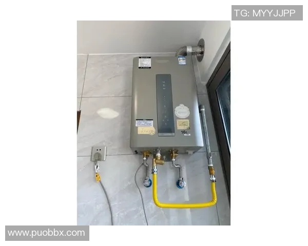 独家解析:液化天然气配合方式的优劣对比与市场前景分析 独家解析:液化天然气配合方式的优劣对比与市场前景分析