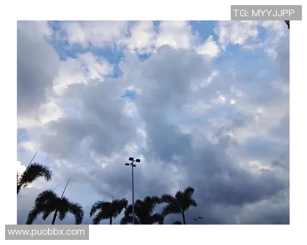 深圳滑板队荣登滑板心理素质排行榜第一名展现团队实力与精神风貌 深圳滑板队荣登滑板心理素质排行榜第一名展现团队实力与精神风貌