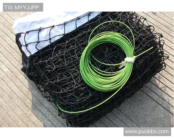 网球战术解析:上海网球队如何运用边路渗透提升比赛优势 网球战术解析:上海网球队如何运用边路渗透提升比赛优势