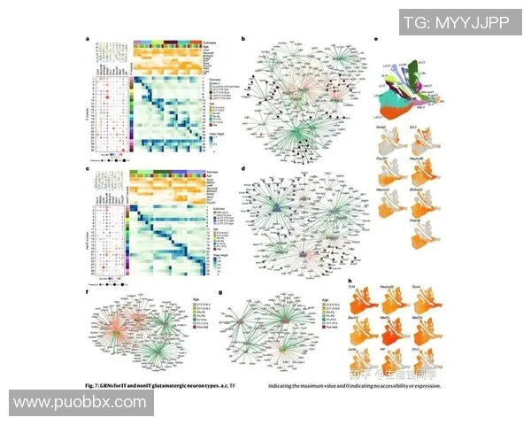 南京攀岩队灵活性分析与其他队伍的对比研究 南京攀岩队灵活性分析与其他队伍的对比研究