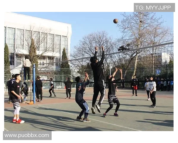 排球新手必看:轻松掌握节奏与技巧的全面入门指南 排球新手必看:轻松掌握节奏与技巧的全面入门指南