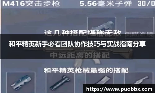 JJB竞技宝