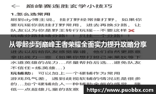 从零起步到巅峰王者荣耀全面实力提升攻略分享