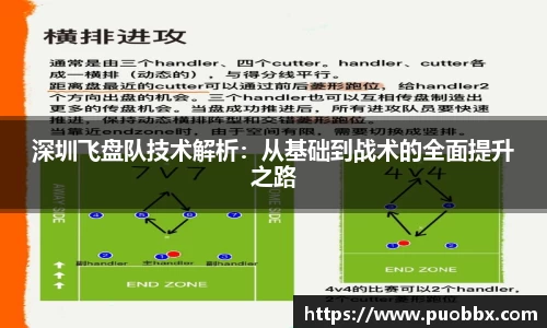 深圳飞盘队技术解析：从基础到战术的全面提升之路